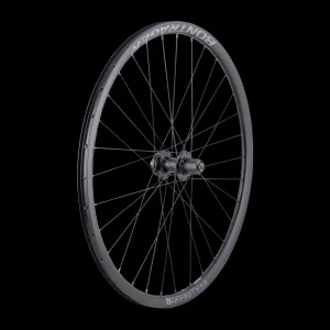 Trek Bikes Kiekot*Bontrager Affinity TLR 32H 6-Bolt Disc Wheel