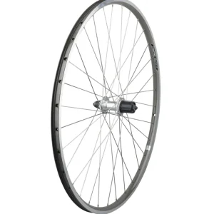 Trek Bikes Kiekot*Electra Townie Commute 8D Wheel