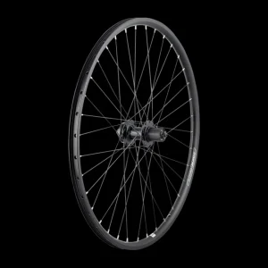 Trek Bikes Kiekot*Electra Townie Go! 8D 26" Wheel