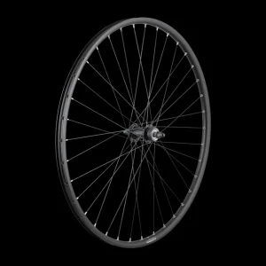 Trek Bikes Kiekot*Trek Alex DP23/Centerlock 36H Bolt-on 700c Wheel
